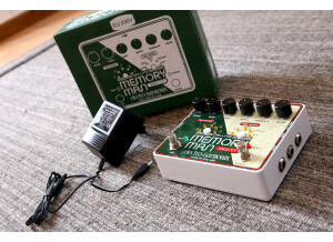 Electro-Harmonix Deluxe Memory Man 550-TT (89918)