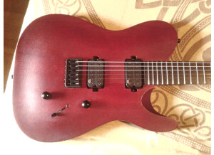 Chapman Guitars ML-3 Pro Modern (93714)