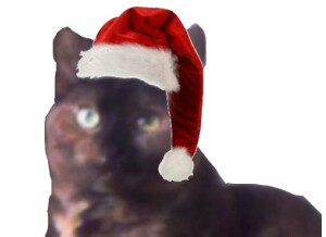 Roland JP-8080 (82087)