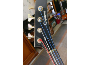 Fender Reggie Hamilton Standard Jazz Bass (73611)