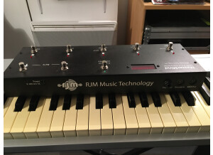 Rjm Music Technologies MasterMind - Midi Foot Controller (32359)