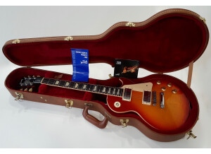 Gibson Les Paul Traditional Plus (61522)