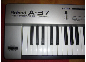 Roland A-37 (45224)