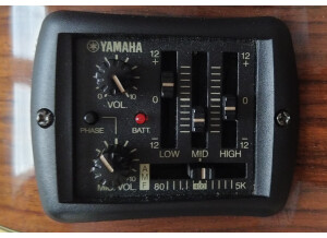 Yamaha APX9