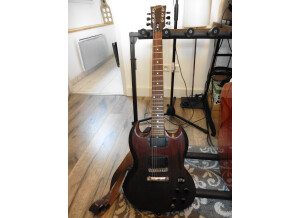 Gibson SGJ (49846)
