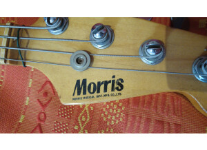 Morris precision