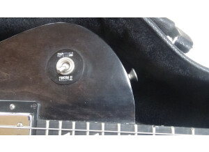 Gibson Les Paul Studio Faded 2011 (91669)