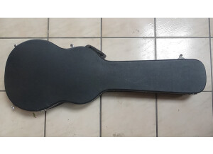 Gibson Les Paul Studio Faded 2011 (89158)