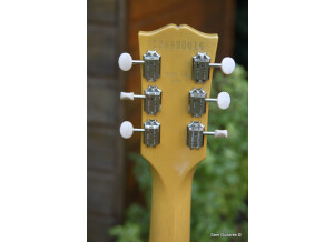 Gibson Original Les Paul Special (43736)