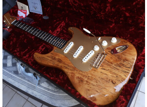 Fender Artisan Spalted Maple Stratocaster (41576)