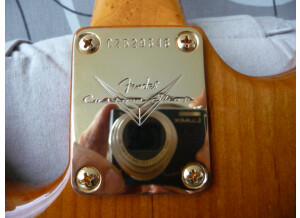 Fender Artisan Spalted Maple Stratocaster (28874)