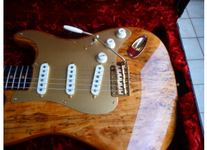 Fender Artisan Spalted Maple Stratocaster (96890)