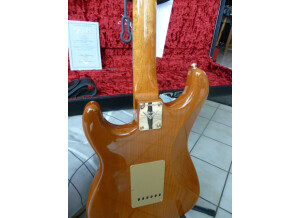 Fender Artisan Spalted Maple Stratocaster (23463)