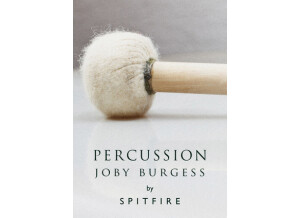 Spitfire Audio BBC Symphony Orchestra (28008)