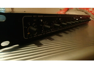 Drawmer DS201 Dual Noise Gate (83162)