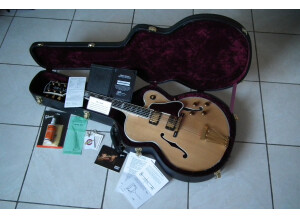 Gibson Byrdland (19199)
