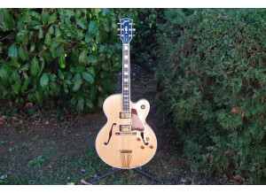 Gibson Byrdland (78790)