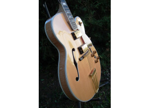 Gibson Byrdland (49434)