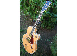Gibson Byrdland (71927)