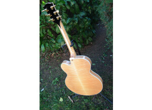 Gibson Byrdland (23383)