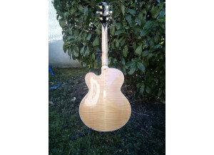 Gibson Byrdland (19274)