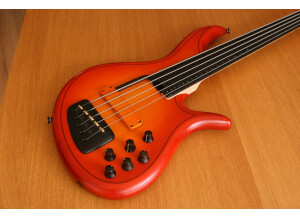 F Bass AC5 (16365)