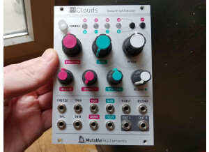 Mutable Instruments Clouds (13729)