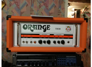 Orange TH30 Head (12856)