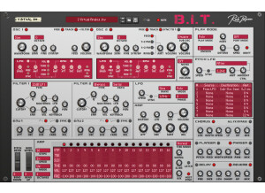 RobPapen_BIT-RE