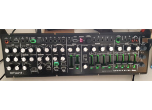 Roland SYSTEM-1m (25545)