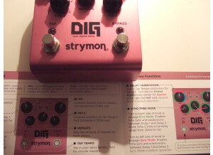 Strymon DIG (26036)