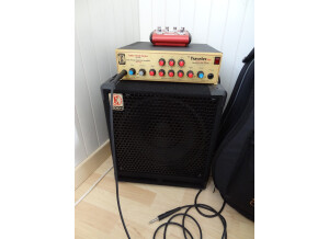 Eden Electronics WT-400 (Traveler Plus)