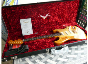 Fender Artisan Spalted Maple Stratocaster (96115)