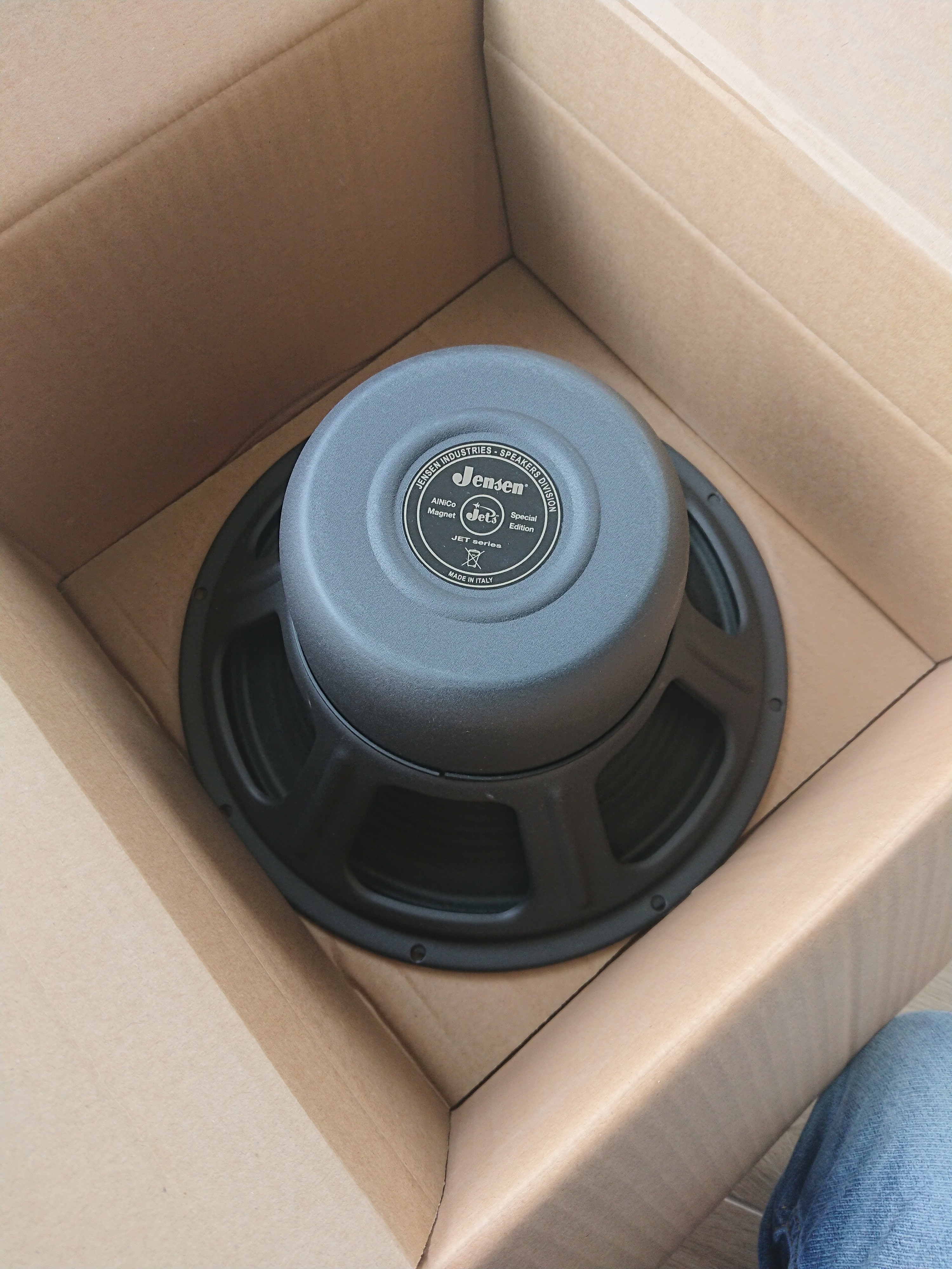 Jensen Blackbird 100 12"