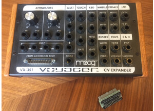 Moog Music VX-351 (17260)