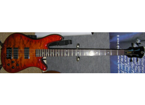 Spector Performer 4 (81226)