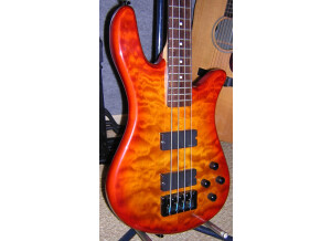 Spector Performer 4 (91363)