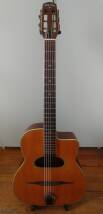Rudy Larna WM650A