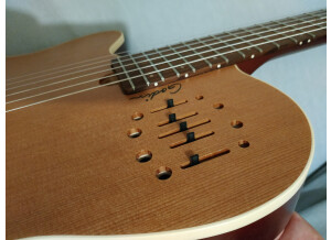 Godin Encore Nylon LH (24886)