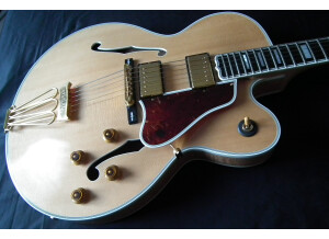 Gibson Byrdland (45747)