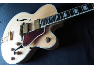 Gibson Byrdland (67083)