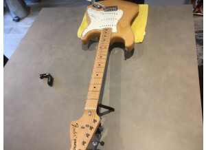 Fender Classic '70s Stratocaster (44785)