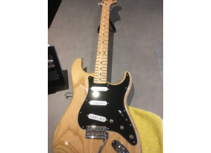 Fender Classic '70s Stratocaster (88845)