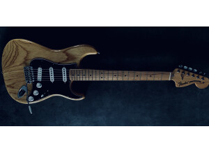 Fender Classic '70s Stratocaster (74147)