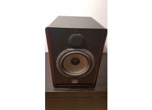 Focal Solo6 Be (32981)