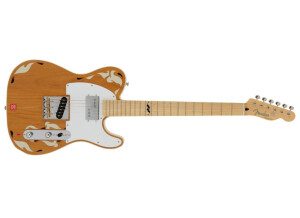 Fender FACE Stratocaster