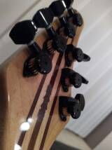 Mayones Regius Custom Shop 7