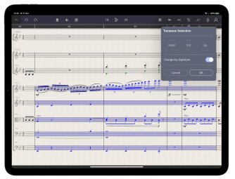 iPad-Pro-Editing-optim2 iPad-Pro-Editing-optim2