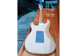 Fender Standard Stratocaster Plus Top