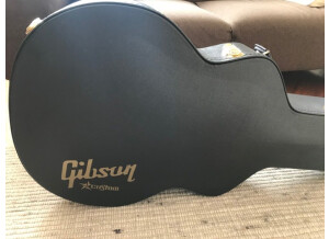 Gibson Byrdland (37926)